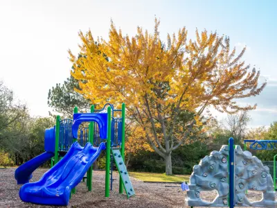 Castlehill Park focused on a playground with three climbing structures surrounded by greenery