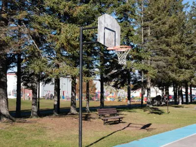 front view of Baltimore arena basketball court focused on basket with large trees lining the background
