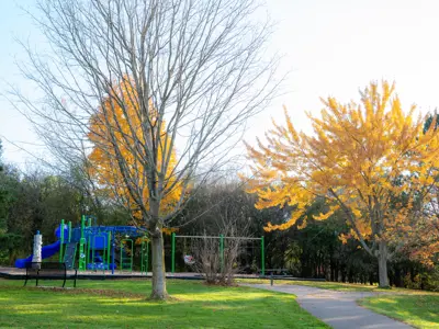 Castlehill Park focused on a playground with climbing structures and swings surrounded by fall greenery