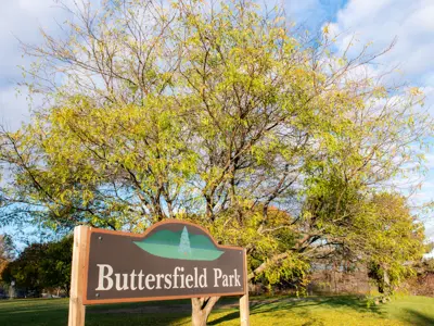 Buttersfield Park sign with large green tree in the background