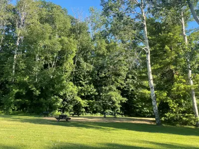 Laurel Park greenspace including accessible picnic tables