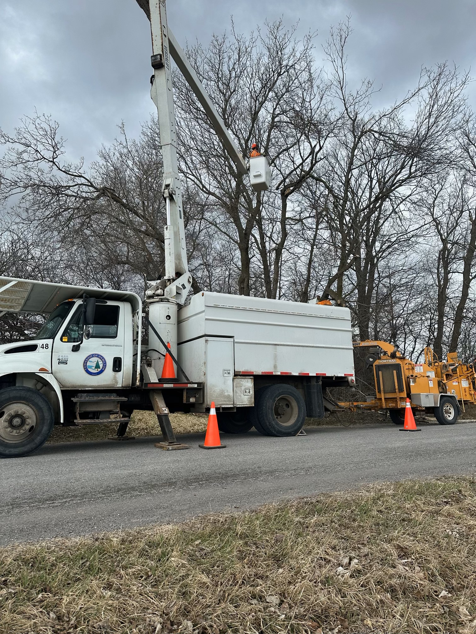 Bucket truck with person in bucket working with a tree